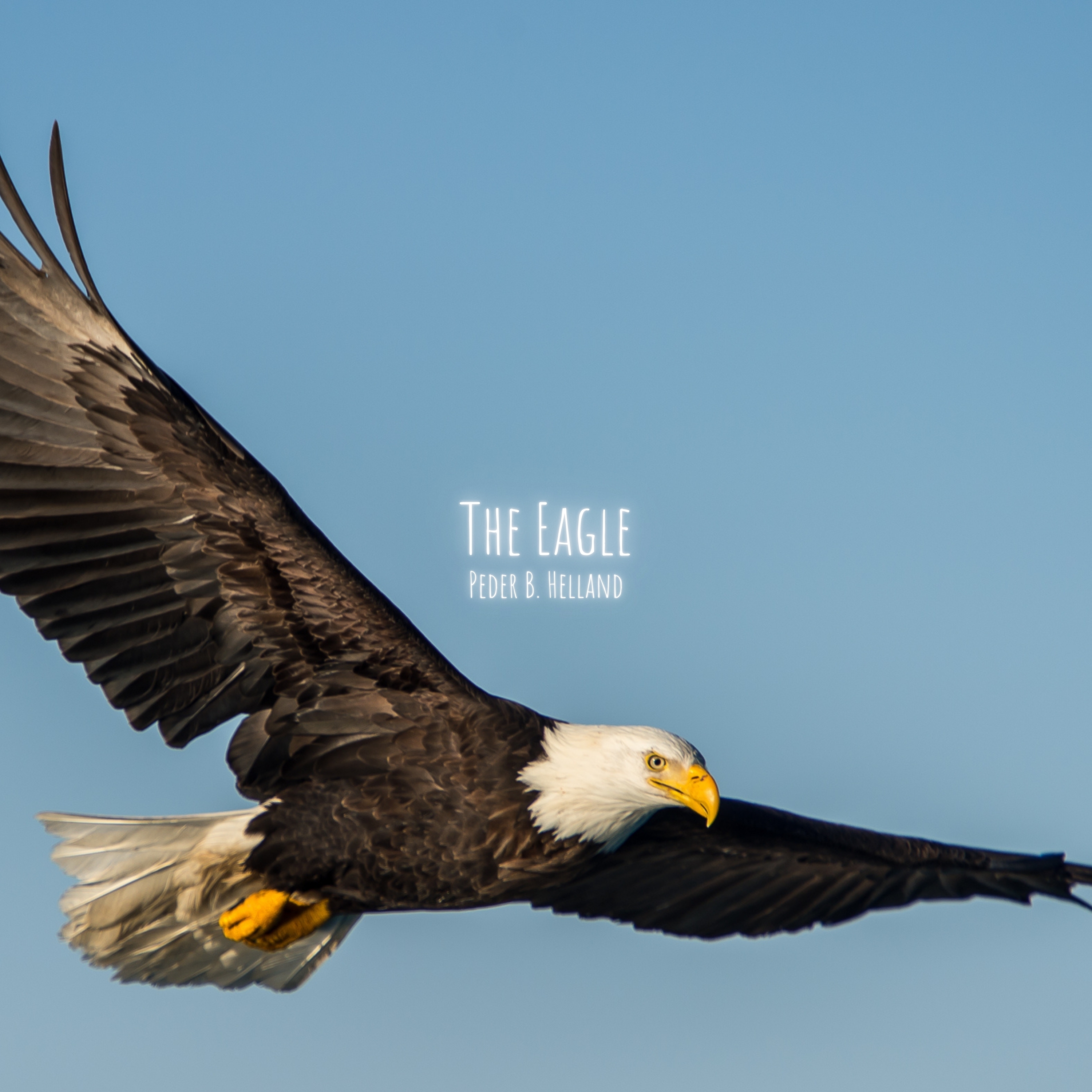 The Eagle
